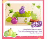 Fruit Fairy Series 1 (Opened box)